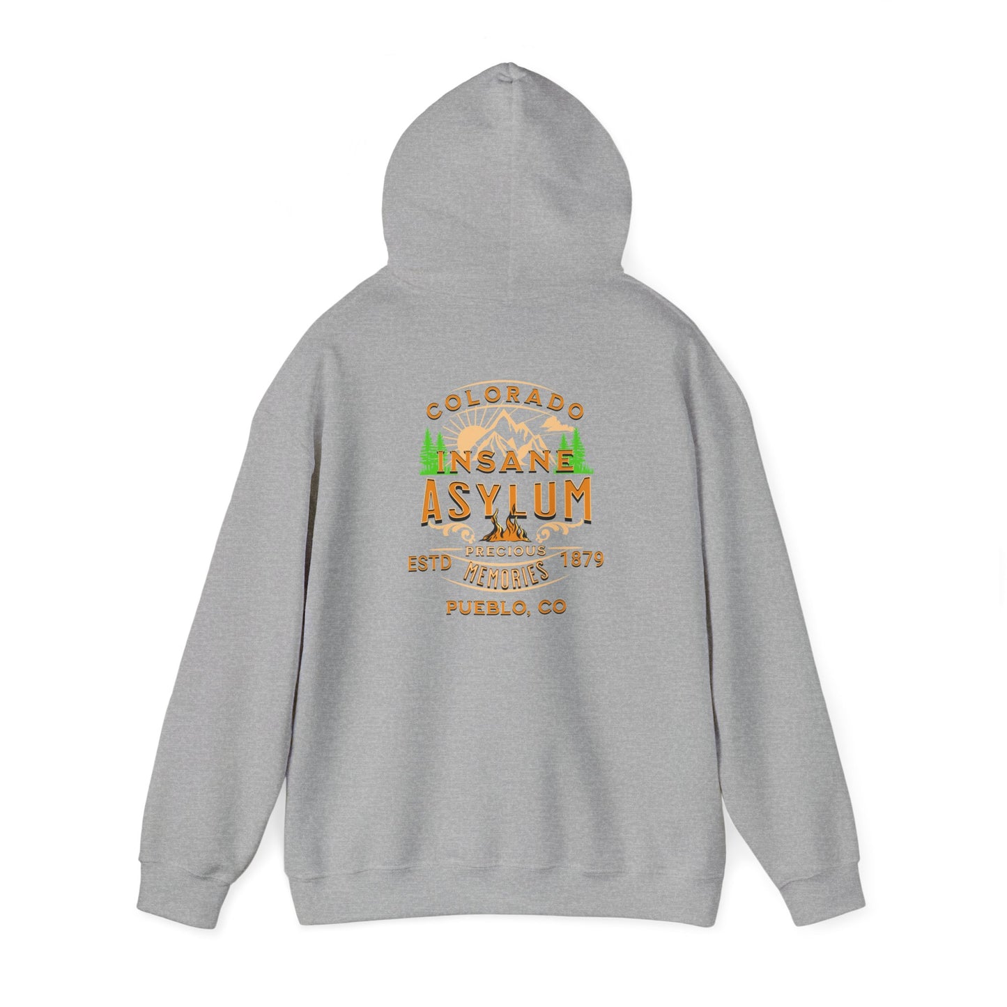 Hooded Sweatshirt Colorado Insane Asylum History Mental Health Awareness