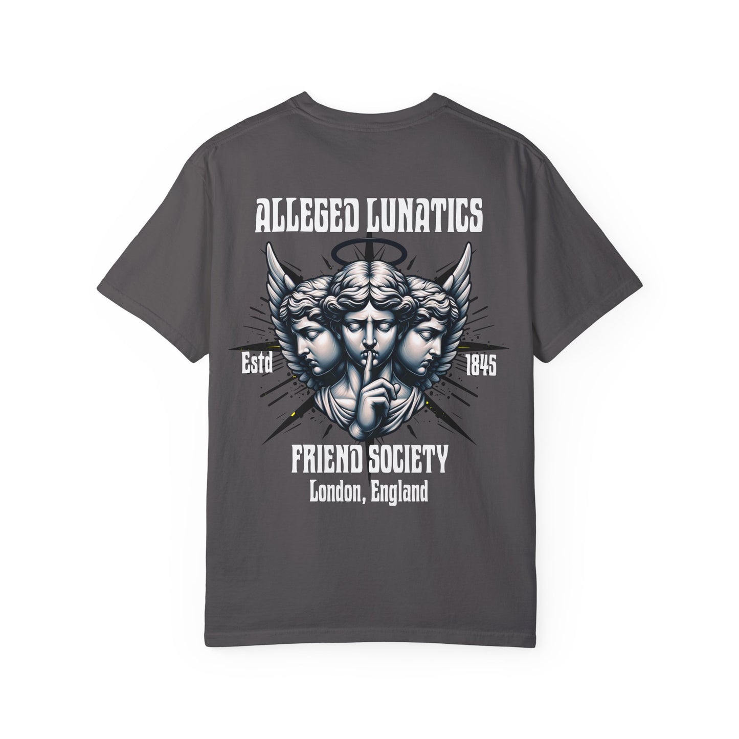 Alleged Lunatics Friends Society Unisex T-shirt- Mental Health Awareness Printed on Back