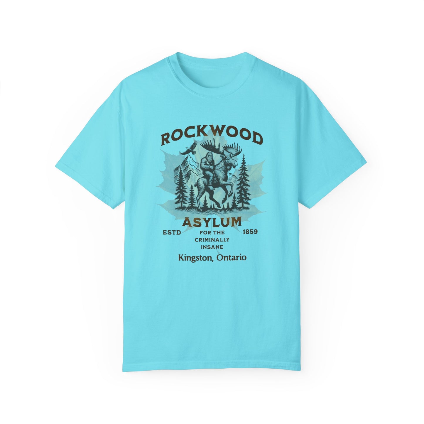 Vintage Canadian Insane Asylum Unisex T-shirt - Rockwood Insane Asylum Canada Mental Health History