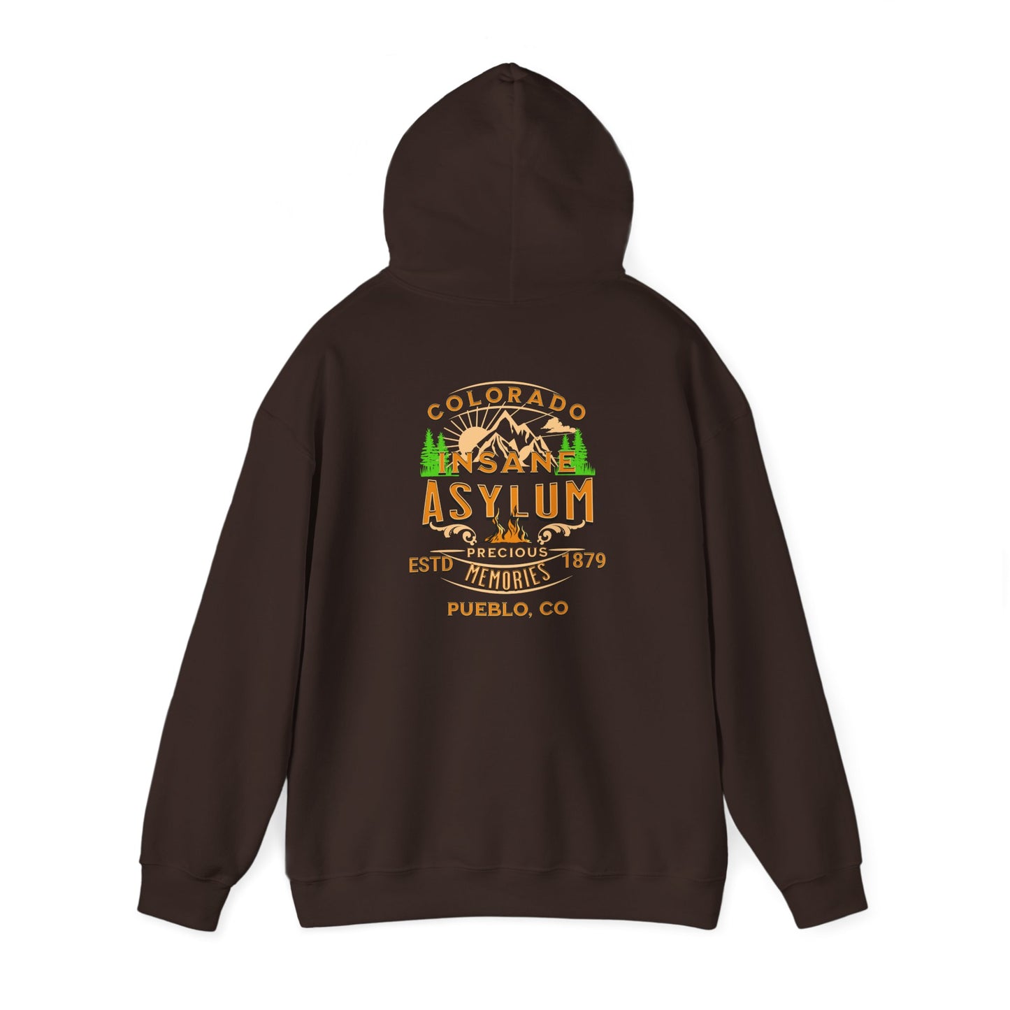 Hooded Sweatshirt Colorado Insane Asylum History Mental Health Awareness