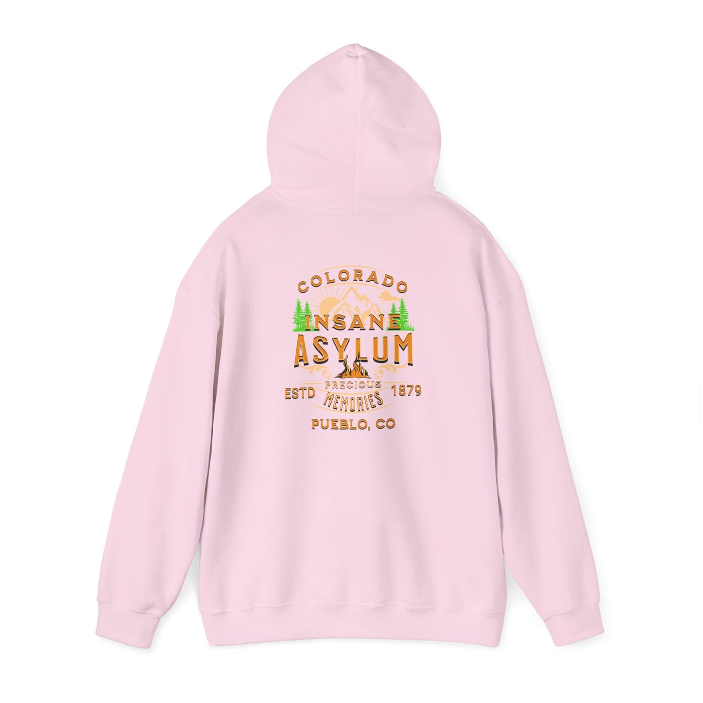 Hooded Sweatshirt Colorado Insane Asylum History Mental Health Awareness