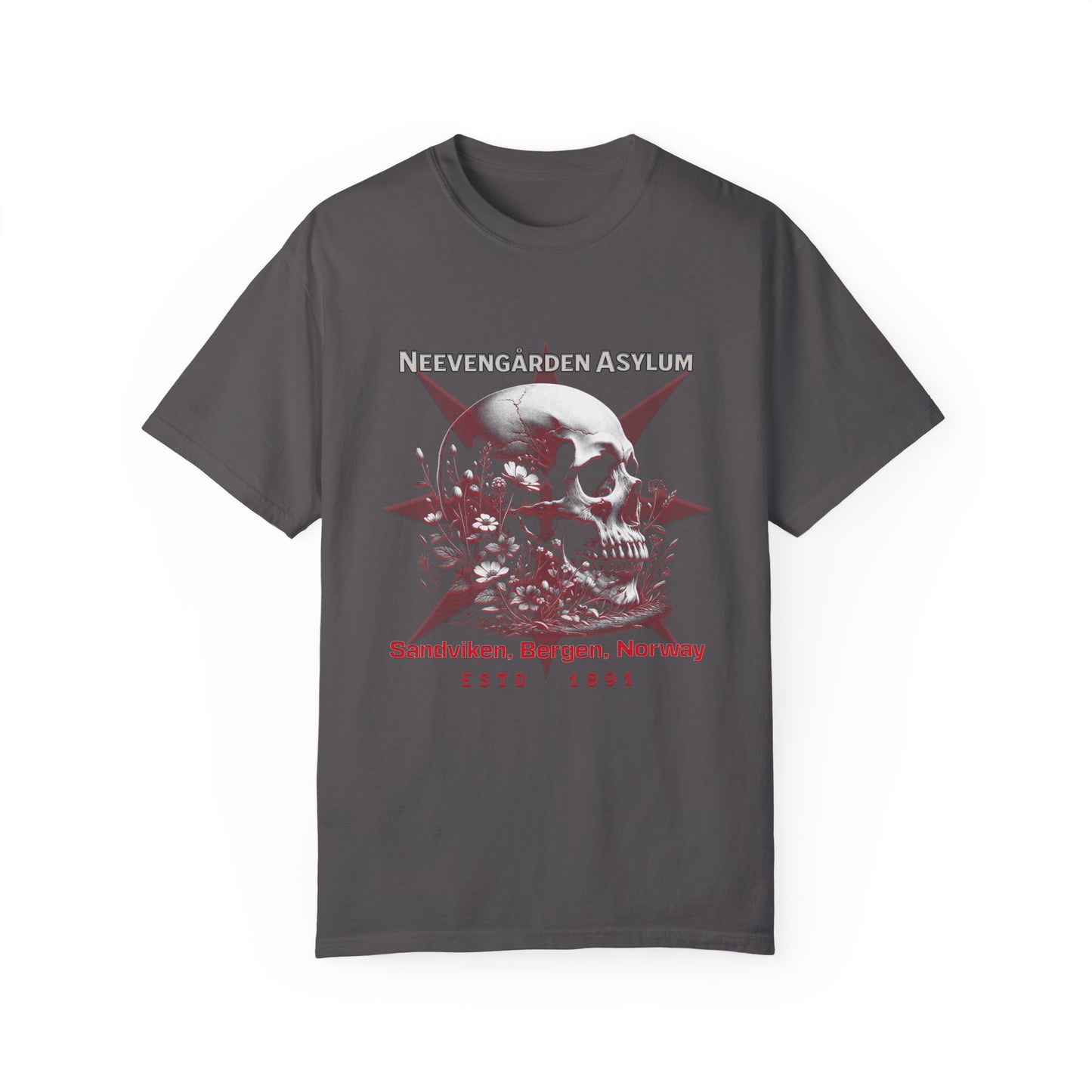 Vintage Norway Asylum Awareness Unisex T-shirt