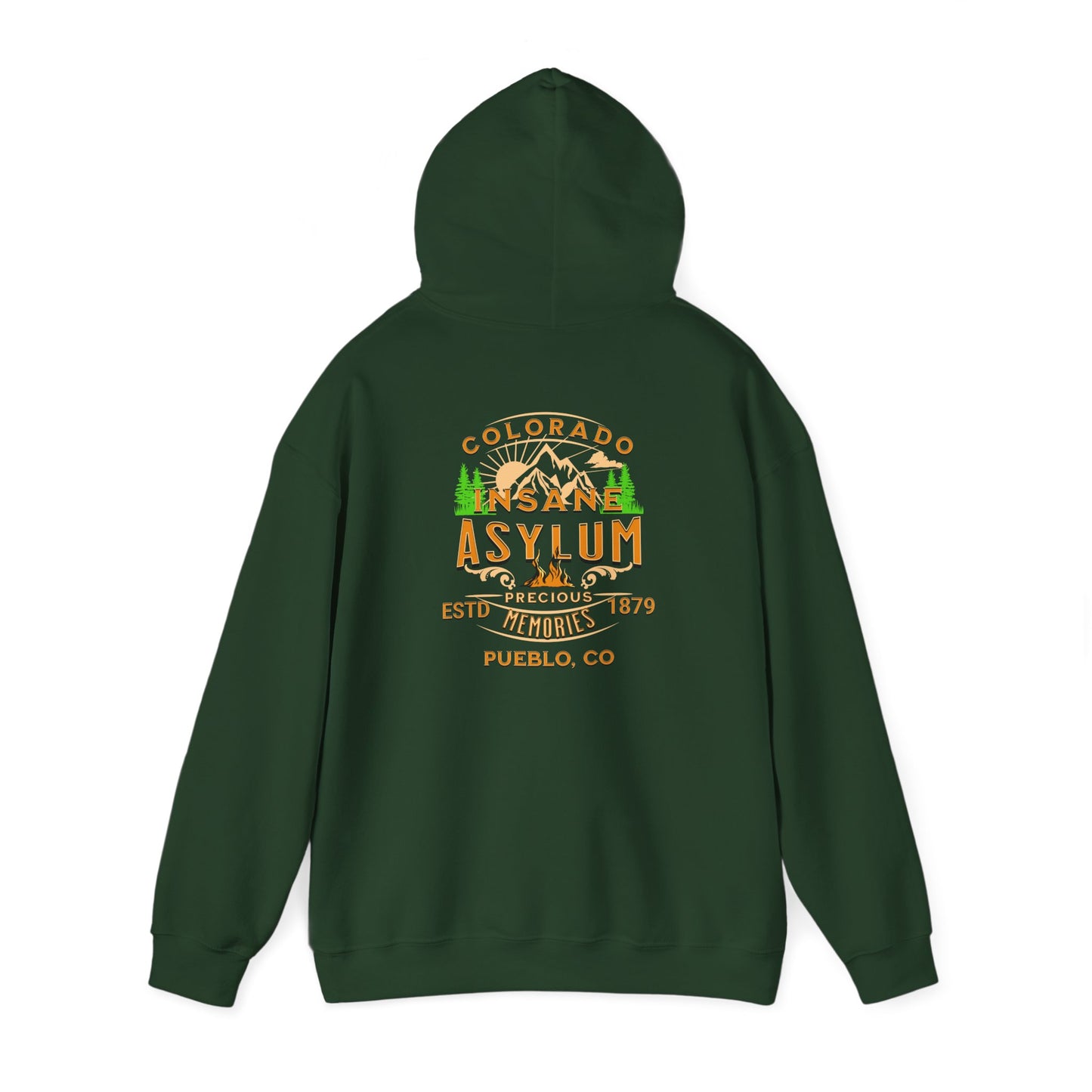 Hooded Sweatshirt Colorado Insane Asylum History Mental Health Awareness