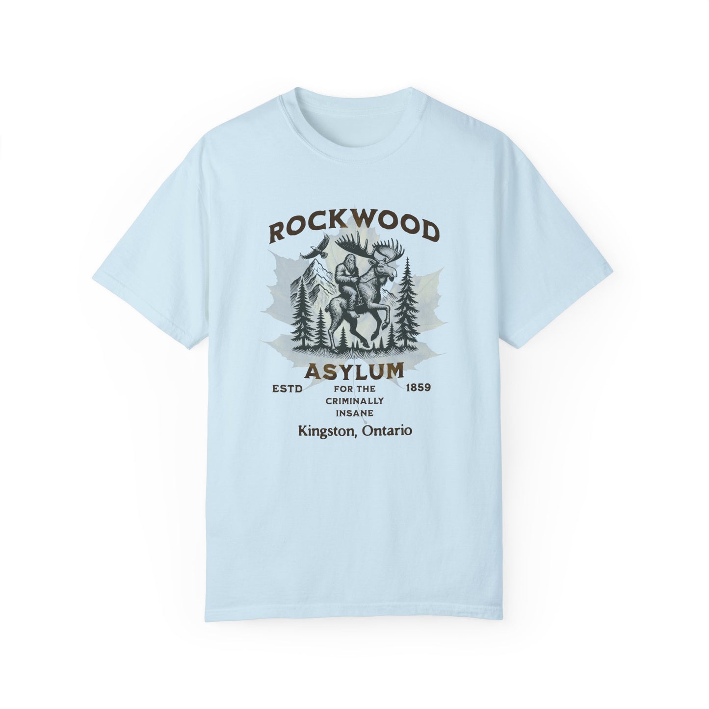 Vintage Canadian Insane Asylum Unisex T-shirt - Rockwood Insane Asylum Canada Mental Health History