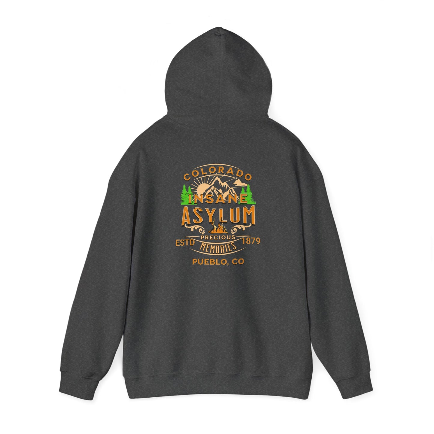 Hooded Sweatshirt Colorado Insane Asylum History Mental Health Awareness