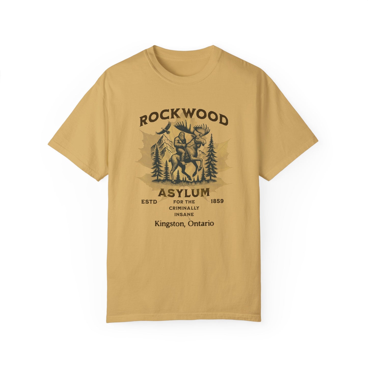 Vintage Canadian Insane Asylum Unisex T-shirt - Rockwood Insane Asylum Canada Mental Health History