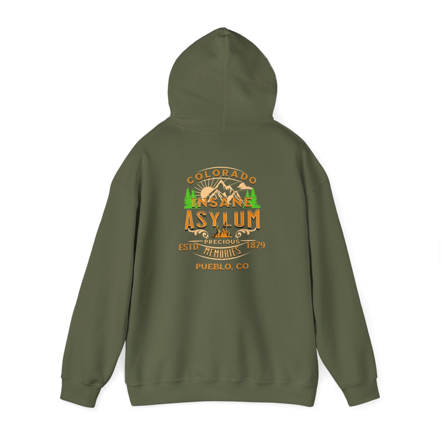 Hooded Sweatshirt Colorado Insane Asylum History Mental Health Awareness