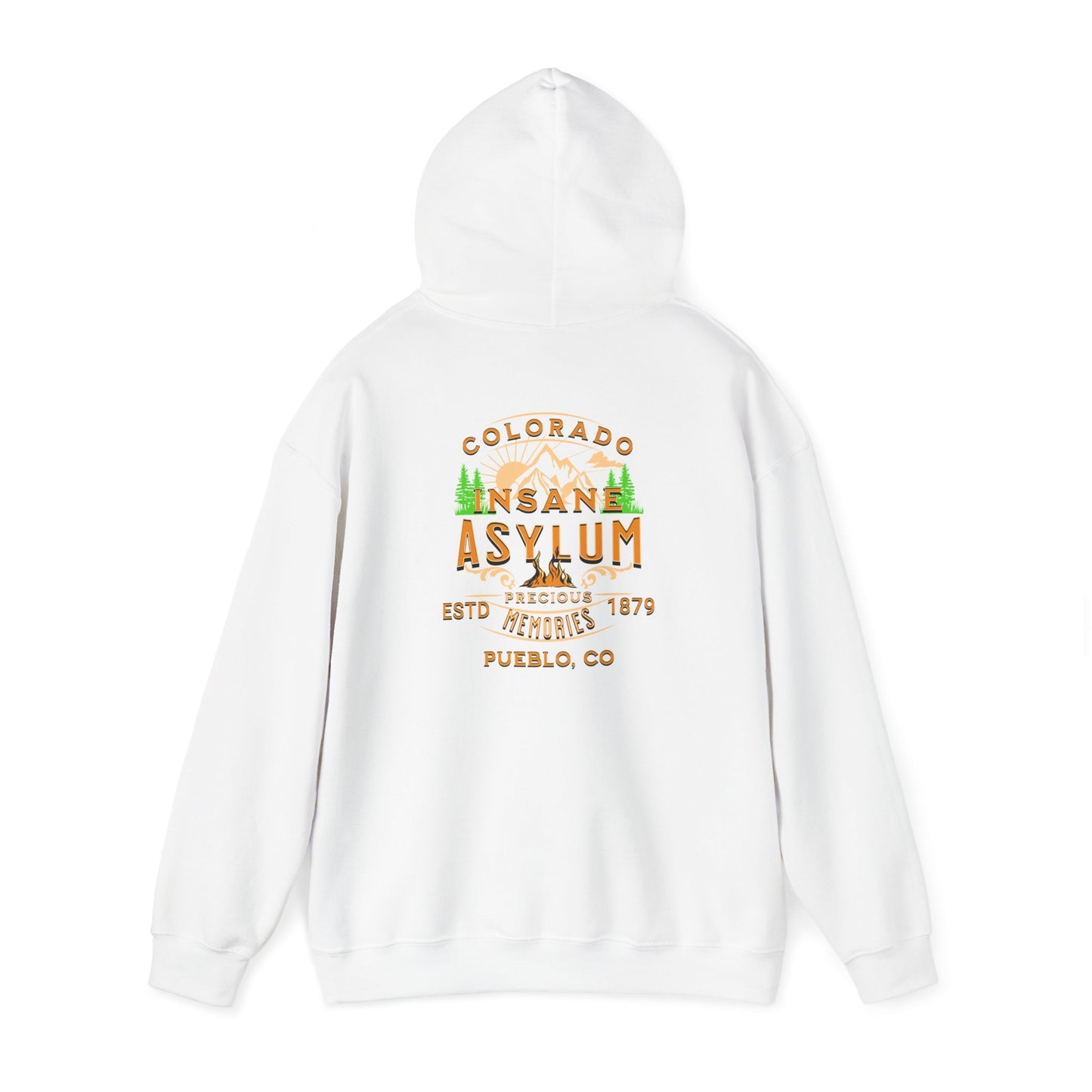 Hooded Sweatshirt Colorado Insane Asylum History Mental Health Awareness