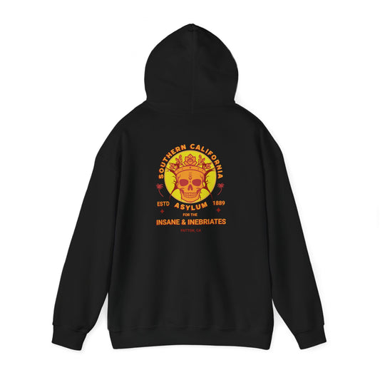 Hooded Sweatshirt Southern California Insane Asylum Mental Health History Awareness