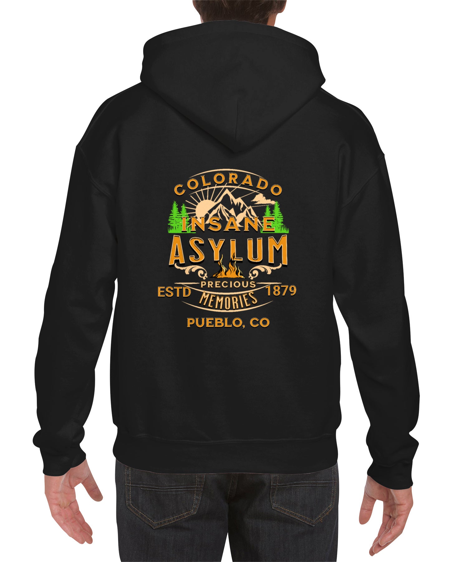 Hooded Sweatshirt Colorado Insane Asylum History Mental Health Awareness