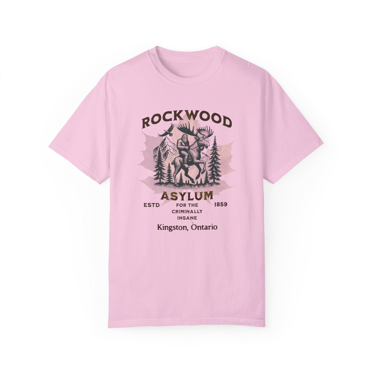 Vintage Canadian Insane Asylum Unisex T-shirt - Rockwood Insane Asylum Canada Mental Health History