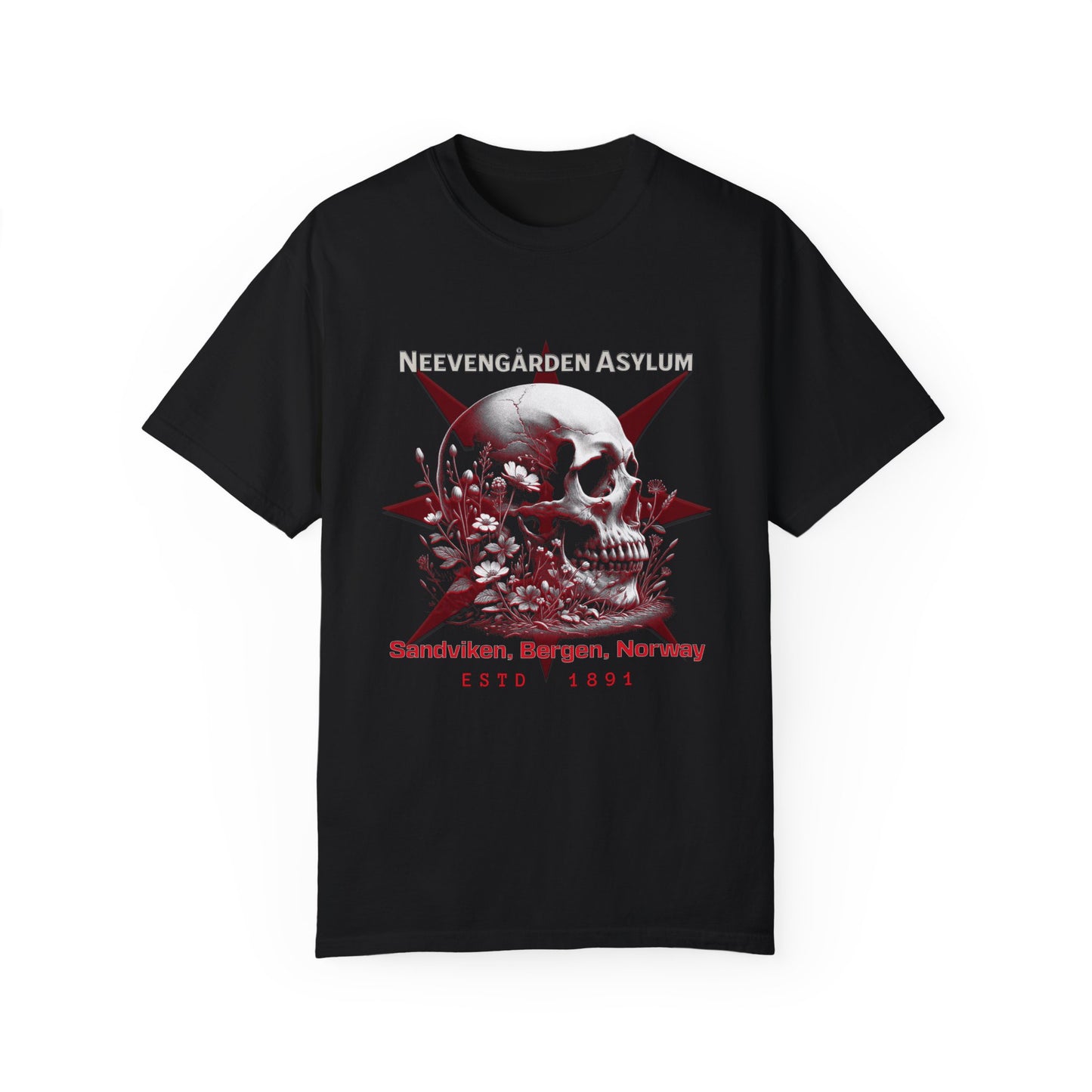 Vintage Norway Asylum Awareness Unisex T-shirt