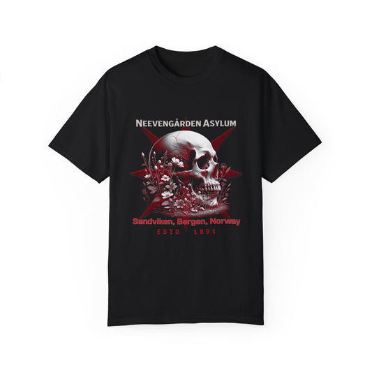 Vintage Norway Asylum Awareness Unisex T-shirt